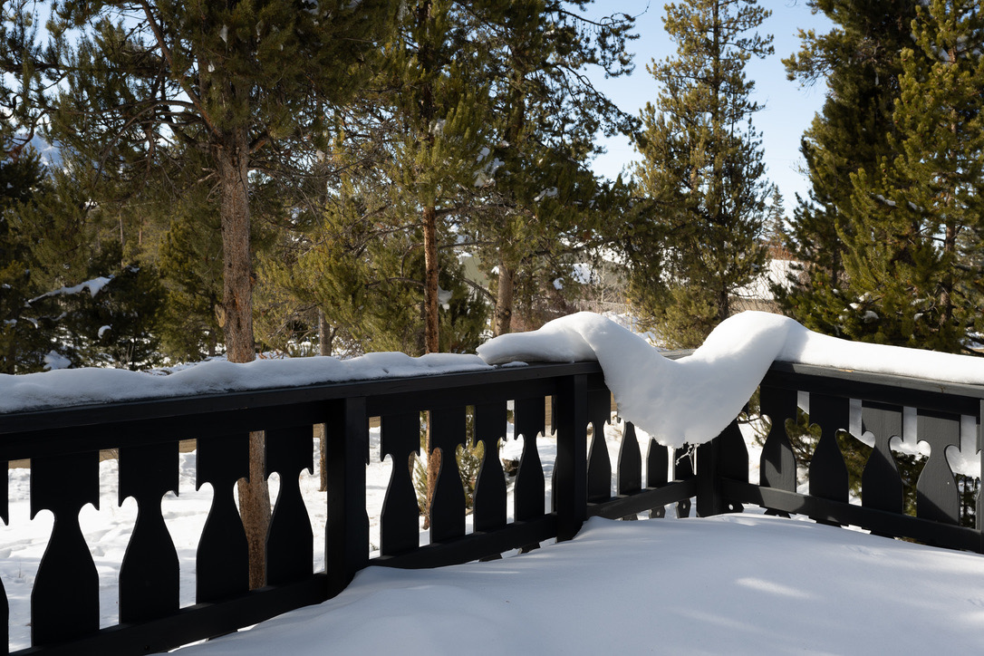 Snow-covered deck railing among the pines.