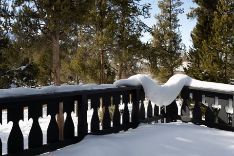 Snow-covered deck railing among the pines.