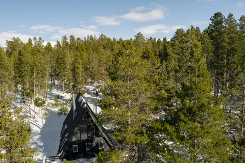 Aerial view of the A-frame surrounded by pines.